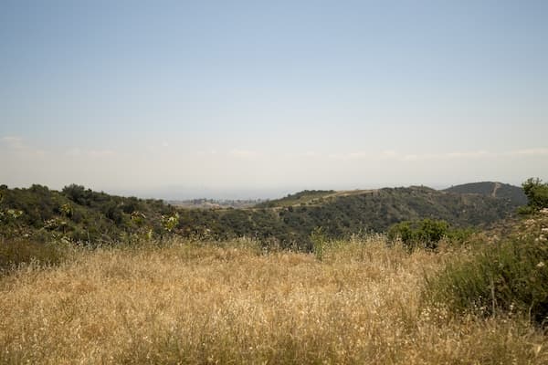 Rolling hills of brown and green grasses with hiking trails