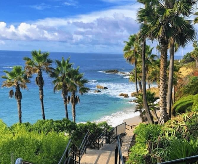 Stairs lined with palm trees down to sandy Orange County beach